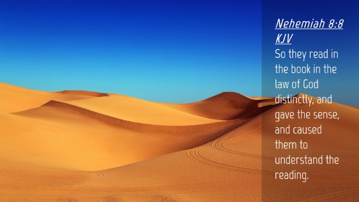 Picture 04 - Nehemiah 8:8 KJV Desktop Wallpaper - So they read in the book in the law of God - Desktop Bible Verse Wallpaper