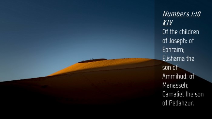 Picture 04 - Numbers 1:10 KJV Desktop Wallpaper - Of the children of Joseph: of Ephraim; Elishama - Desktop Bible Verse Wallpaper