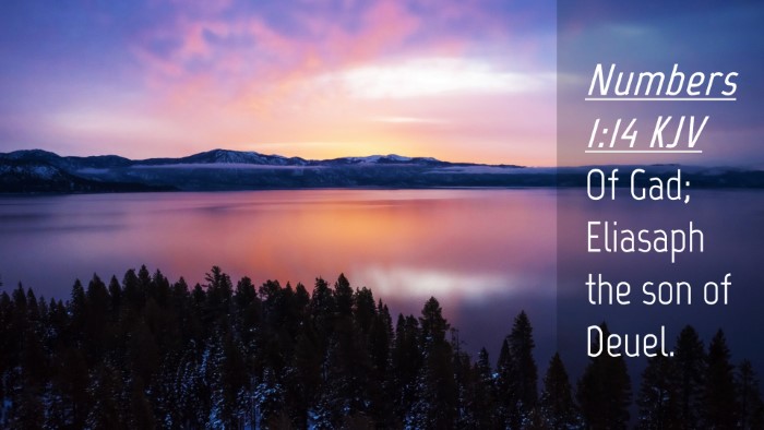 Picture 04 - Numbers 1:14 KJV Desktop Wallpaper - Of Gad; Eliasaph the son of - Desktop Bible Verse Wallpaper