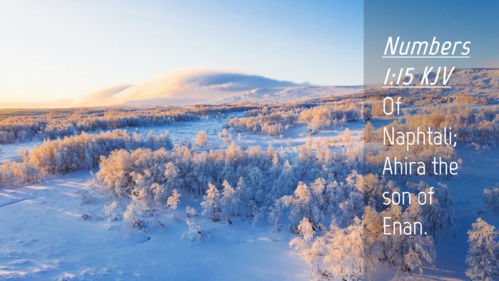 Picture 04 - Numbers 1:15 KJV Desktop Wallpaper - Of Naphtali; Ahira the son of - Desktop Bible Verse Wallpaper
