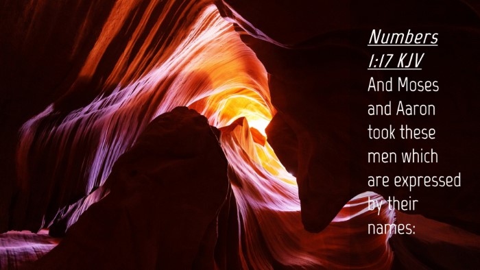 Picture 04 - Numbers 1:17 KJV Desktop Wallpaper - And Moses and Aaron took these men which are - Desktop Bible Verse Wallpaper