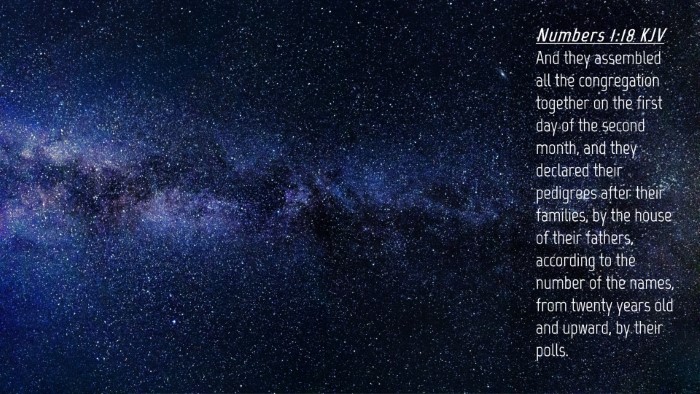 Picture 04 - Numbers 1:18 KJV Desktop Wallpaper - And they assembled all the congregation together - Desktop Bible Verse Wallpaper
