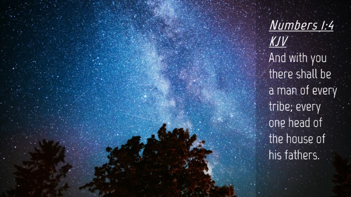 Picture 04 - Numbers 1:4 KJV Desktop Wallpaper - And with you there shall be a man of every tribe; - Desktop Bible Verse Wallpaper
