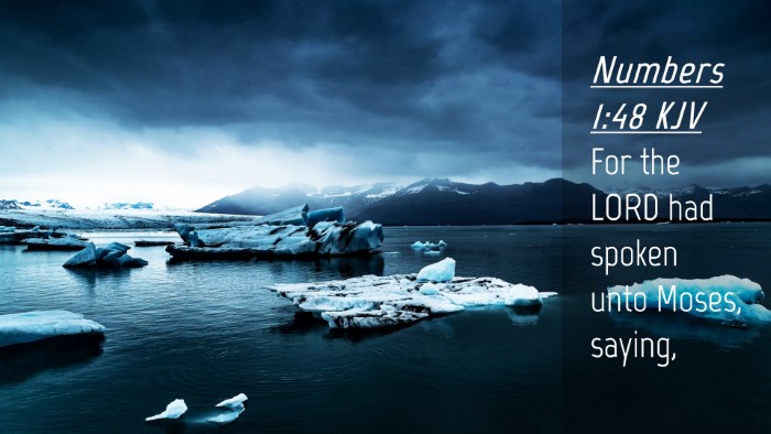 Picture 04 - Numbers 1:48 KJV Desktop Wallpaper - For the LORD had spoken unto Moses, - Desktop Bible Verse Wallpaper