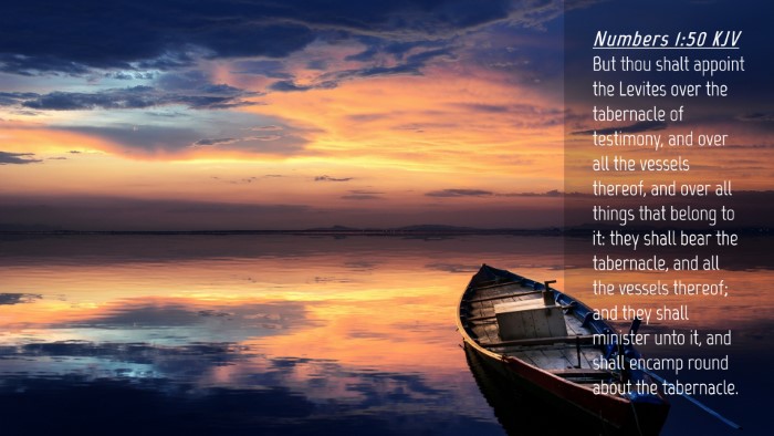 Picture 04 - Numbers 1:50 KJV Desktop Wallpaper - But thou shalt appoint the Levites over the - Desktop Bible Verse Wallpaper