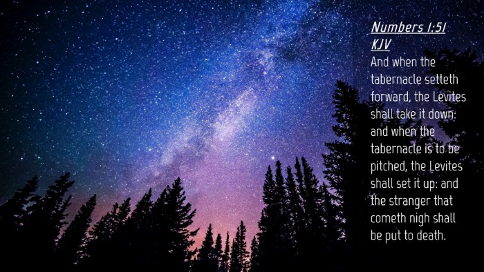 Picture 04 - Numbers 1:51 KJV Desktop Wallpaper - And when the tabernacle setteth forward, the - Desktop Bible Verse Wallpaper