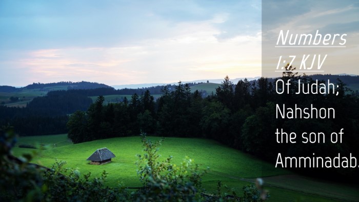 Picture 04 - Numbers 1:7 KJV Desktop Wallpaper - Of Judah; Nahshon the son of - Desktop Bible Verse Wallpaper