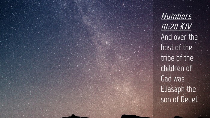 Picture 04 - Numbers 10:20 KJV Desktop Wallpaper - And over the host of the tribe of the children of - Desktop Bible Verse Wallpaper