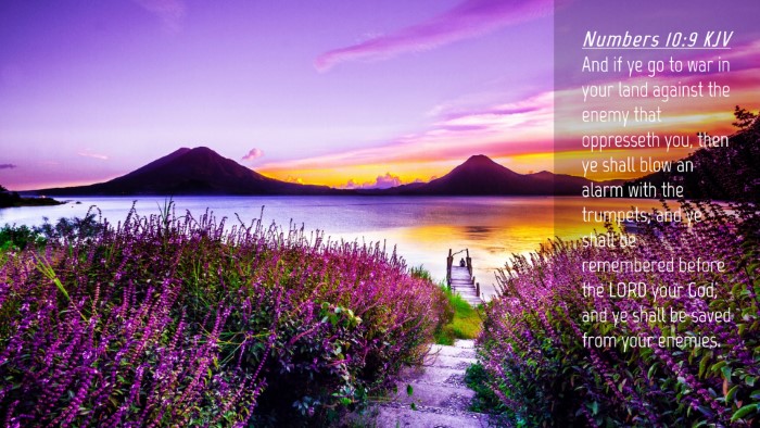 Picture 04 - Numbers 10:9 KJV Desktop Wallpaper - And if ye go to war in your land against the - Desktop Bible Verse Wallpaper