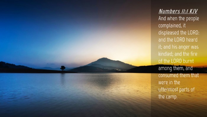 Picture 04 - Numbers 11:1 KJV Desktop Wallpaper - And when the people complained, it displeased the - Desktop Bible Verse Wallpaper