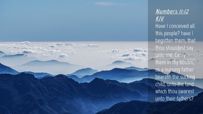 Picture 04 - Numbers 11:12 KJV Desktop Wallpaper - Have I conceived all this people? have I begotten - Desktop Bible Verse Wallpaper