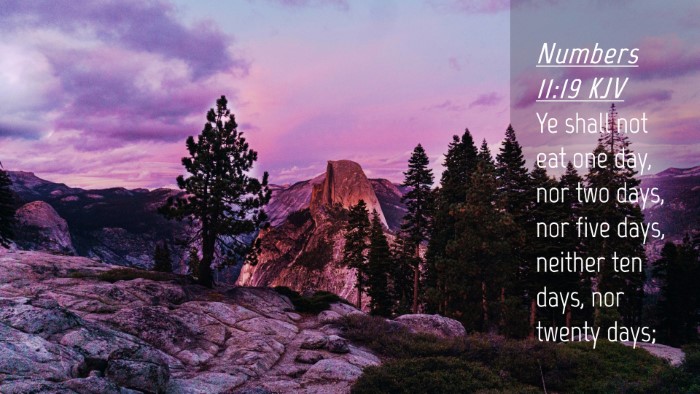 Picture 04 - Numbers 11:19 KJV Desktop Wallpaper - Ye shall not eat one day, nor two days, nor five - Desktop Bible Verse Wallpaper