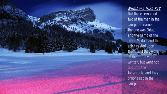 Picture 04 - Numbers 11:26 KJV Desktop Wallpaper - But there remained two of the men in the camp, - Desktop Bible Verse Wallpaper