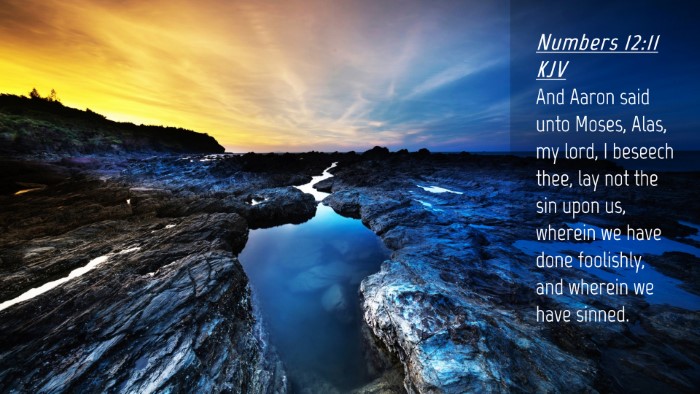 Picture 04 - Numbers 12:11 KJV Desktop Wallpaper - And Aaron said unto Moses, Alas, my lord, I - Desktop Bible Verse Wallpaper