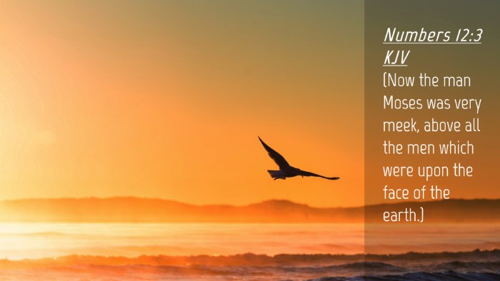 Picture 04 - Numbers 12:3 KJV Desktop Wallpaper - (Now the man Moses was very meek, above all the - Desktop Bible Verse Wallpaper