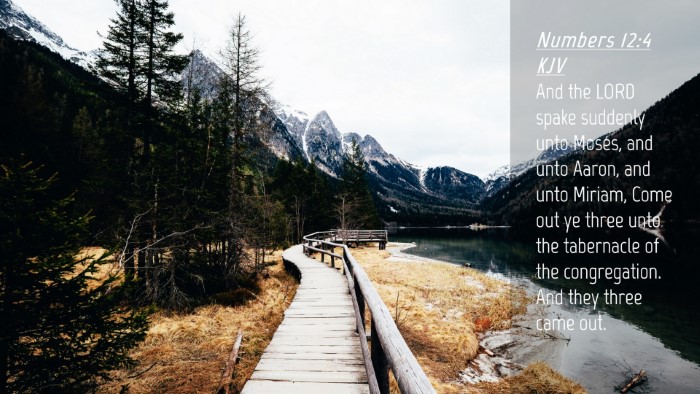 Picture 04 - Numbers 12:4 KJV Desktop Wallpaper - And the LORD spake suddenly unto Moses, and unto - Desktop Bible Verse Wallpaper