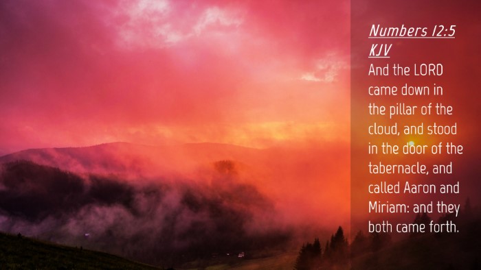 Picture 04 - Numbers 12:5 KJV Desktop Wallpaper - And the LORD came down in the pillar of the - Desktop Bible Verse Wallpaper