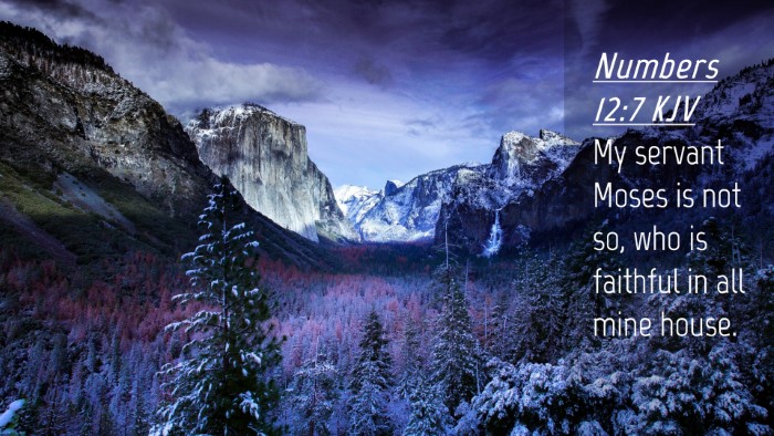 Picture 04 - Numbers 12:7 KJV Desktop Wallpaper - My servant Moses is not so, who is faithful in - Desktop Bible Verse Wallpaper