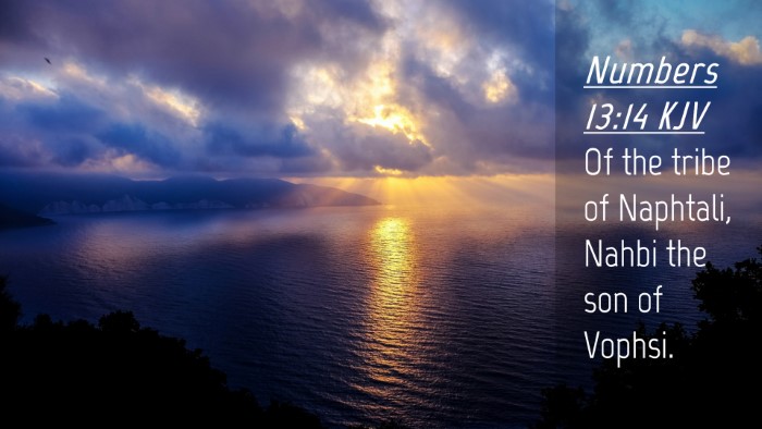 Picture 04 - Numbers 13:14 KJV Desktop Wallpaper - Of the tribe of Naphtali, Nahbi the son of - Desktop Bible Verse Wallpaper
