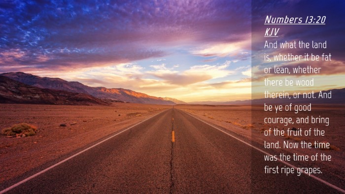 Picture 04 - Numbers 13:20 KJV Desktop Wallpaper - And what the land is, whether it be fat or lean, - Desktop Bible Verse Wallpaper