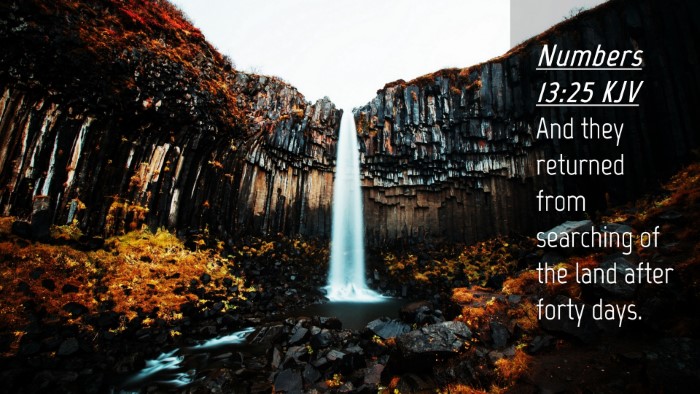 Picture 04 - Numbers 13:25 KJV Desktop Wallpaper - And they returned from searching of the land - Desktop Bible Verse Wallpaper