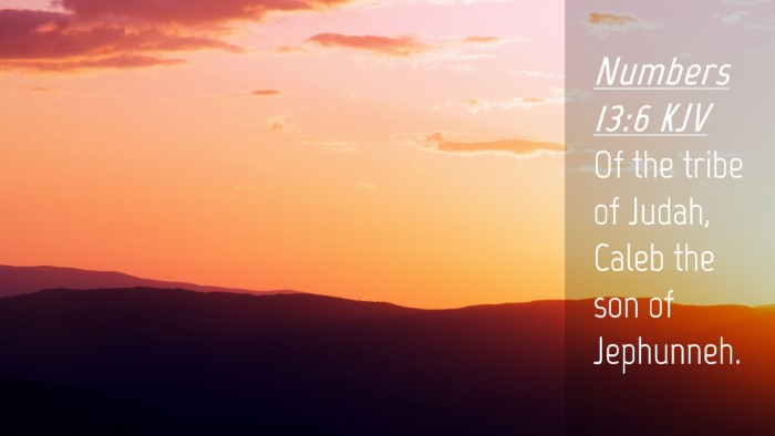 Picture 04 - Numbers 13:6 KJV Desktop Wallpaper - Of the tribe of Judah, Caleb the son of - Desktop Bible Verse Wallpaper