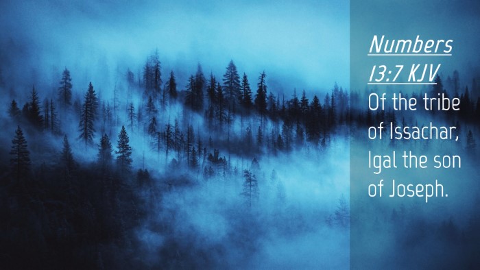 Picture 04 - Numbers 13:7 KJV Desktop Wallpaper - Of the tribe of Issachar, Igal the son of - Desktop Bible Verse Wallpaper