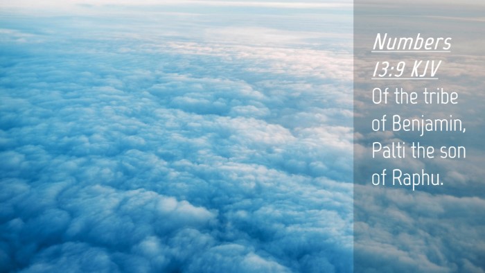 Picture 04 - Numbers 13:9 KJV Desktop Wallpaper - Of the tribe of Benjamin, Palti the son of - Desktop Bible Verse Wallpaper