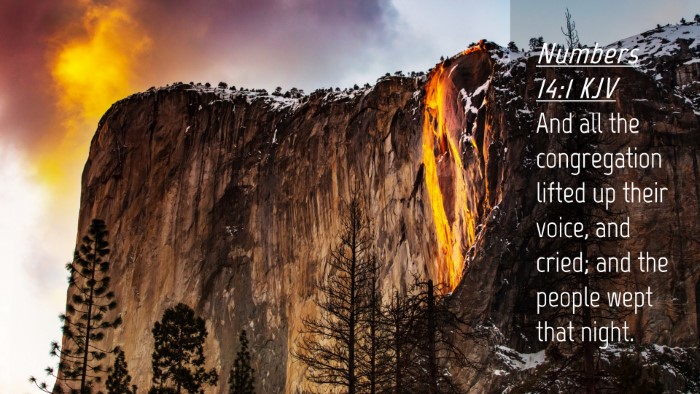 Picture 04 - Numbers 14:1 KJV Desktop Wallpaper - And all the congregation lifted up their voice, - Desktop Bible Verse Wallpaper