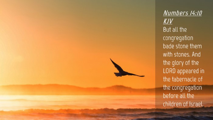 Picture 04 - Numbers 14:10 KJV Desktop Wallpaper - But all the congregation bade stone them with - Desktop Bible Verse Wallpaper