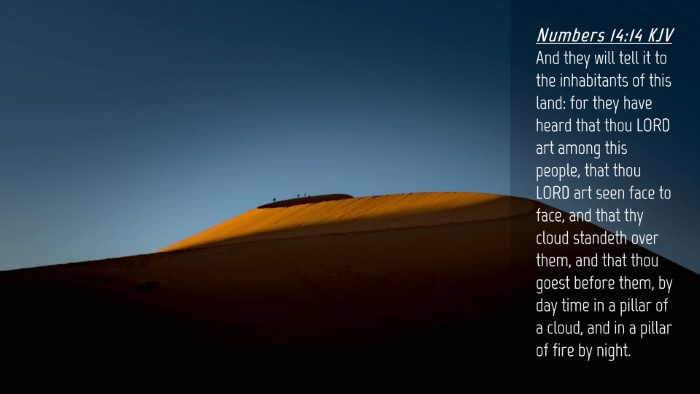 Picture 04 - Numbers 14:14 KJV Desktop Wallpaper - And they will tell it to the inhabitants of this - Desktop Bible Verse Wallpaper