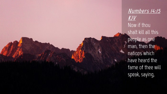 Picture 04 - Numbers 14:15 KJV Desktop Wallpaper - Now if thou shalt kill all this people as one - Desktop Bible Verse Wallpaper