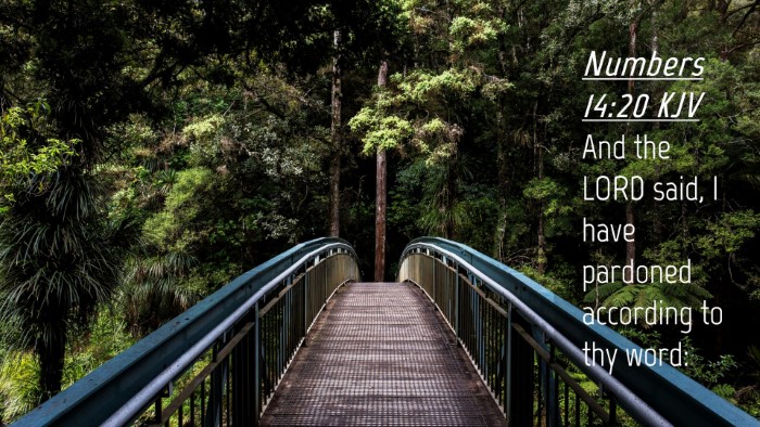 Picture 04 - Numbers 14:20 KJV Desktop Wallpaper - And the LORD said, I have pardoned according to - Desktop Bible Verse Wallpaper