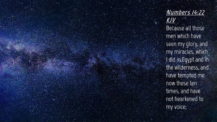 Picture 04 - Numbers 14:22 KJV Desktop Wallpaper - Because all those men which have seen my glory, - Desktop Bible Verse Wallpaper