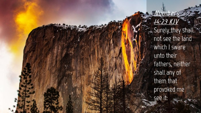 Picture 04 - Numbers 14:23 KJV Desktop Wallpaper - Surely they shall not see the land which I sware - Desktop Bible Verse Wallpaper