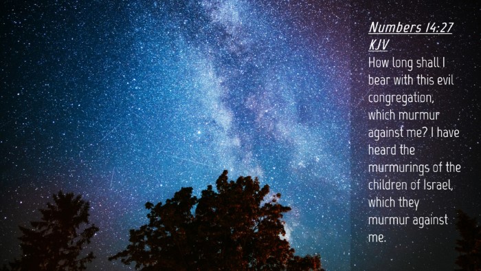 Picture 04 - Numbers 14:27 KJV Desktop Wallpaper - How long shall I bear with this evil - Desktop Bible Verse Wallpaper