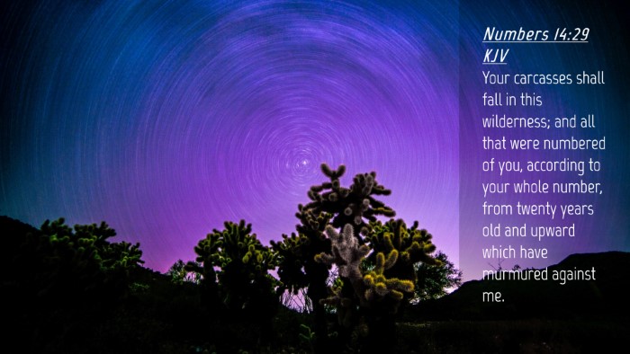 Picture 04 - Numbers 14:29 KJV Desktop Wallpaper - Your carcasses shall fall in this wilderness; and - Desktop Bible Verse Wallpaper