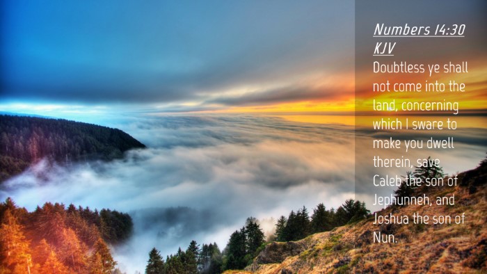 Picture 04 - Numbers 14:30 KJV Desktop Wallpaper - Doubtless ye shall not come into the land, - Desktop Bible Verse Wallpaper