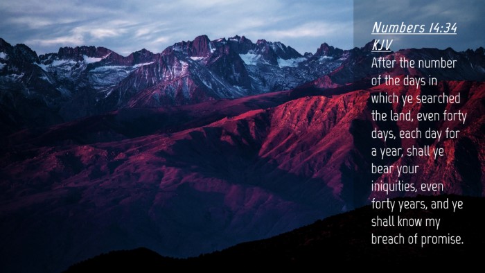 Picture 04 - Numbers 14:34 KJV Desktop Wallpaper - After the number of the days in which ye searched - Desktop Bible Verse Wallpaper