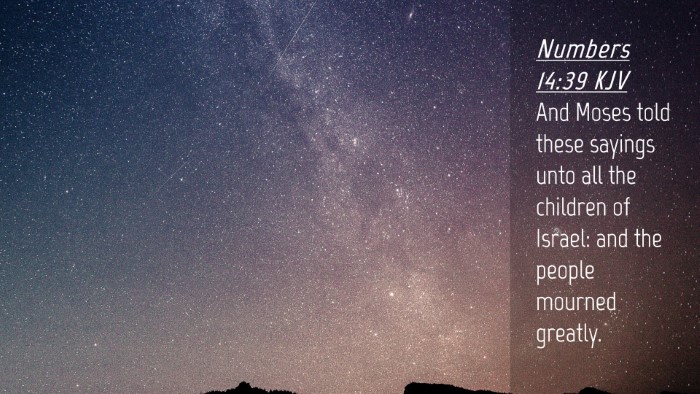 Picture 04 - Numbers 14:39 KJV Desktop Wallpaper - And Moses told these sayings unto all the - Desktop Bible Verse Wallpaper