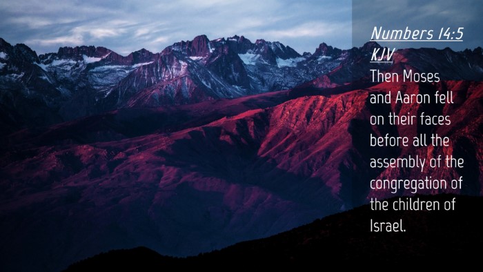 Picture 04 - Numbers 14:5 KJV Desktop Wallpaper - Then Moses and Aaron fell on their faces before - Desktop Bible Verse Wallpaper