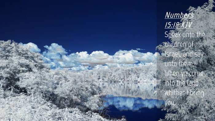 Picture 04 - Numbers 15:18 KJV Desktop Wallpaper - Speak unto the children of Israel, and say unto - Desktop Bible Verse Wallpaper