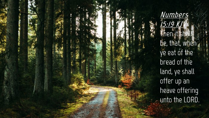 Picture 04 - Numbers 15:19 KJV Desktop Wallpaper - Then it shall be, that, when ye eat of the bread - Desktop Bible Verse Wallpaper