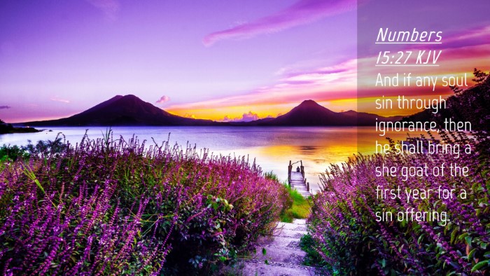 Picture 04 - Numbers 15:27 KJV Desktop Wallpaper - And if any soul sin through ignorance, then he - Desktop Bible Verse Wallpaper