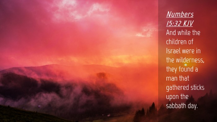 Picture 04 - Numbers 15:32 KJV Desktop Wallpaper - And while the children of Israel were in the - Desktop Bible Verse Wallpaper