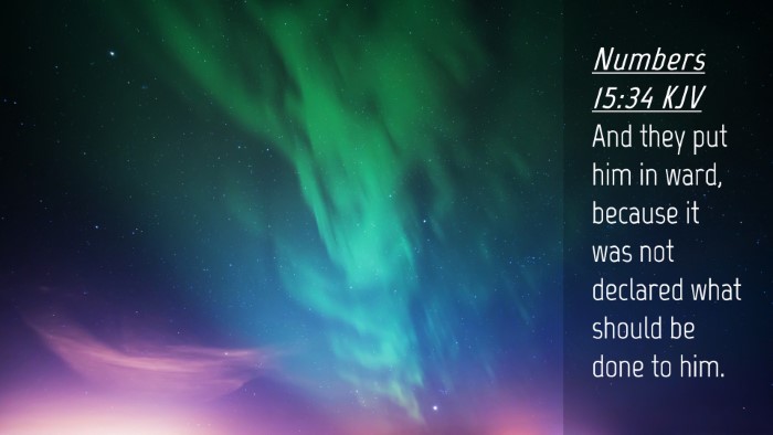 Picture 04 - Numbers 15:34 KJV Desktop Wallpaper - And they put him in ward, because it was not - Desktop Bible Verse Wallpaper