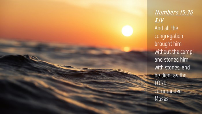 Picture 04 - Numbers 15:36 KJV Desktop Wallpaper - And all the congregation brought him without the - Desktop Bible Verse Wallpaper