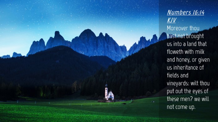 Picture 04 - Numbers 16:14 KJV Desktop Wallpaper - Moreover thou hast not brought us into a land - Desktop Bible Verse Wallpaper