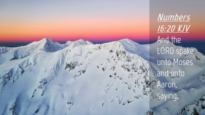 Picture 04 - Numbers 16:20 KJV Desktop Wallpaper - And the LORD spake unto Moses and unto Aaron, - Desktop Bible Verse Wallpaper