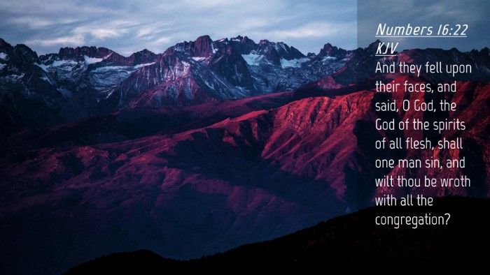Picture 04 - Numbers 16:22 KJV Desktop Wallpaper - And they fell upon their faces, and said, O God, - Desktop Bible Verse Wallpaper